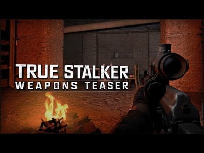 TRUE STALKER - Тизер зброї